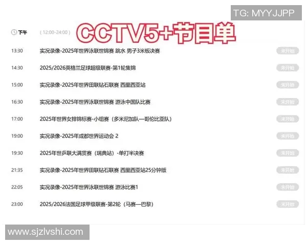 CCTV体育赛事直播：技术保障、互动体验、专业解说与文化传播解析